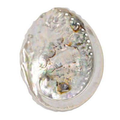 Abalone Shell Large
