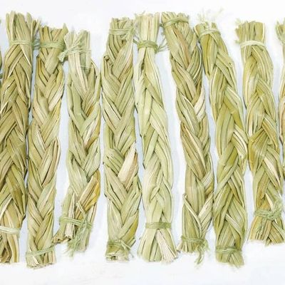 Sweetgrass 4 inch