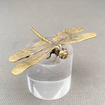 Brass Dragonfly