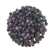 Juniper Berry