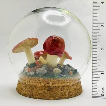 Real Mushroom Curiosity Globe