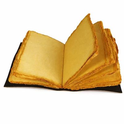 Leather Printed Butterfly Journal