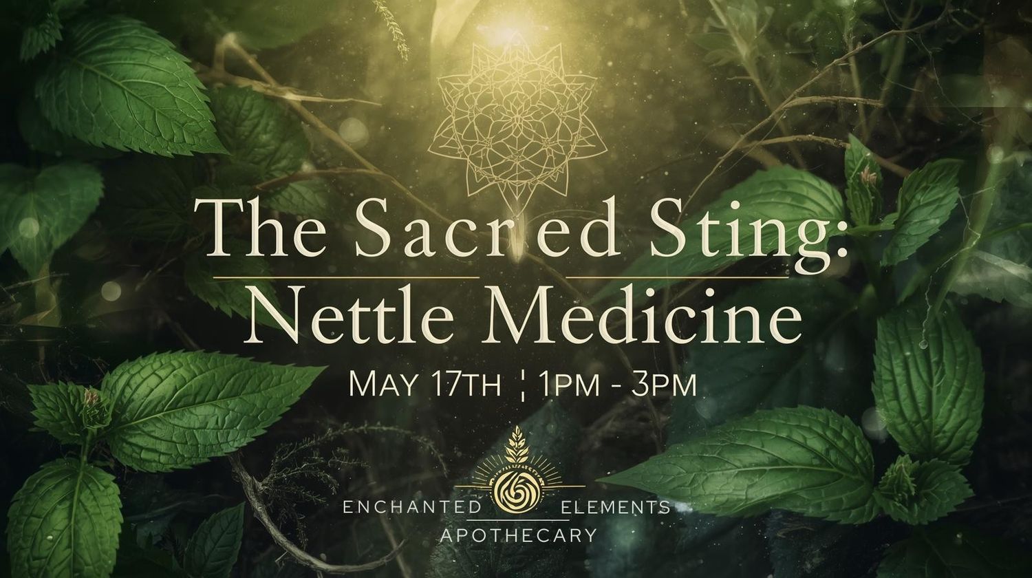 The Sacred Sting: Nettle Medicine