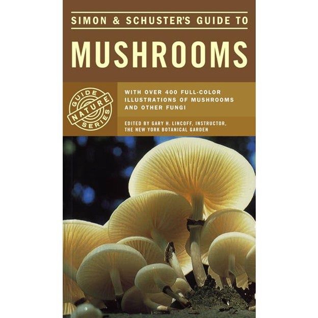 Guide To Mushrooms