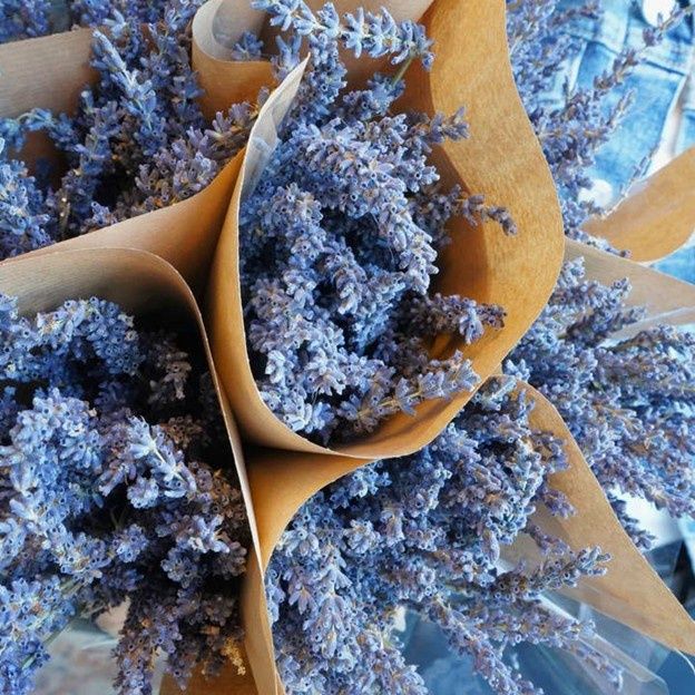 Dried Lavender Bunches