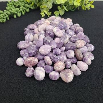 Lepidolite Tumbled