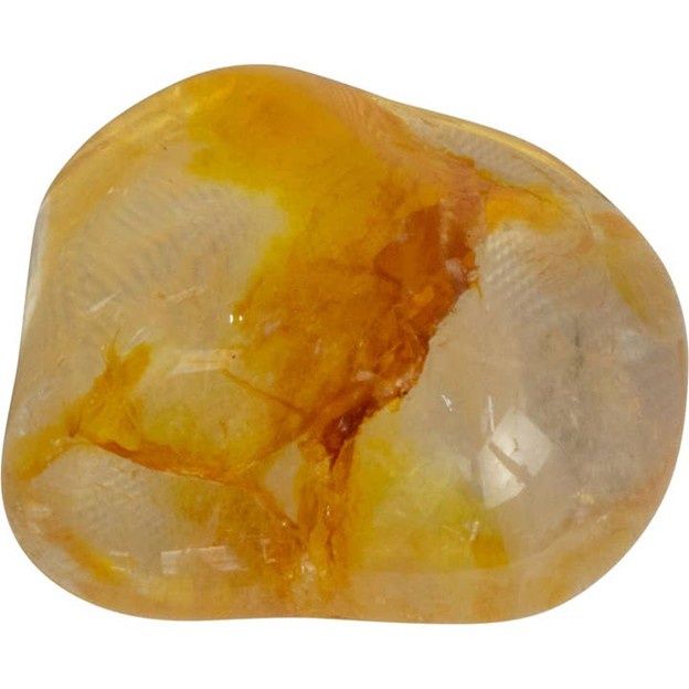 Golden Healer Tumbled