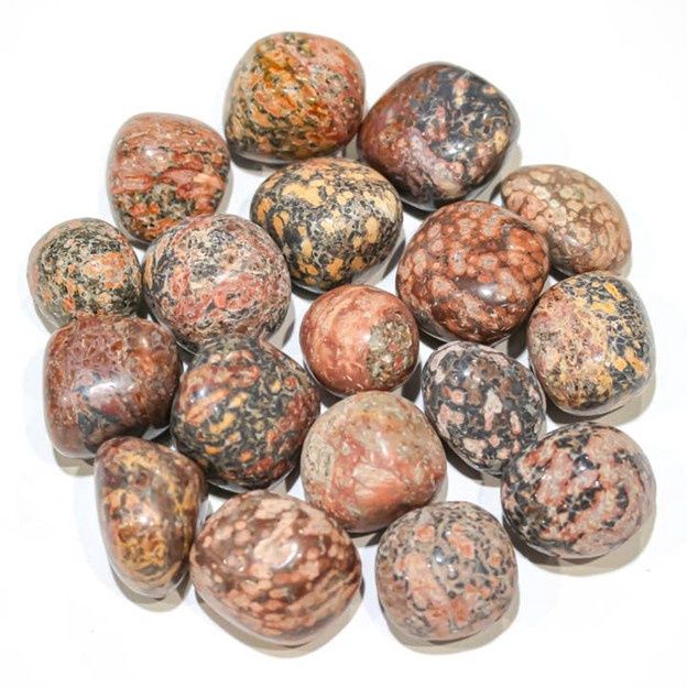 Leopard Skin Jasper Tumbled