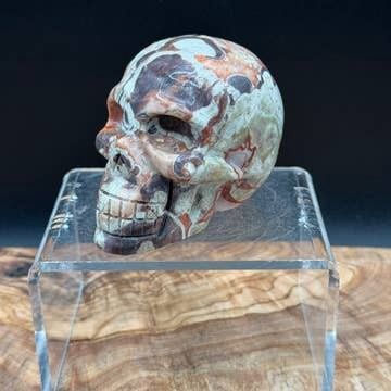 Money Agate Skull