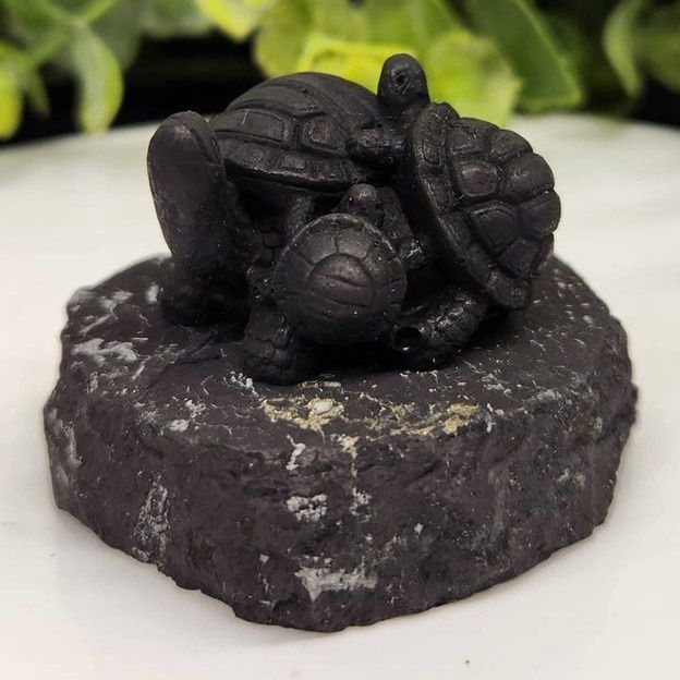 Shungite -Turtle Family