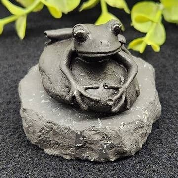 Shungite - Frog on Stone