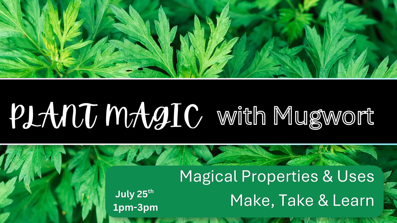 Plant Magic with Mugwort