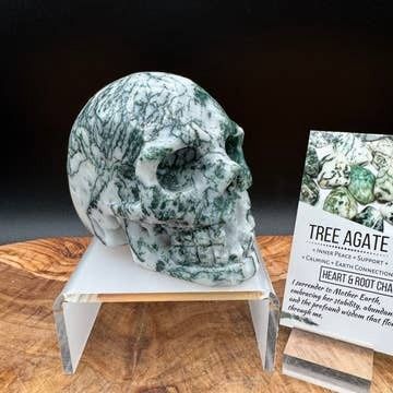 Tree Agate Skull