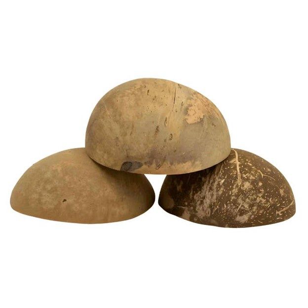 Natural Coconut Shell