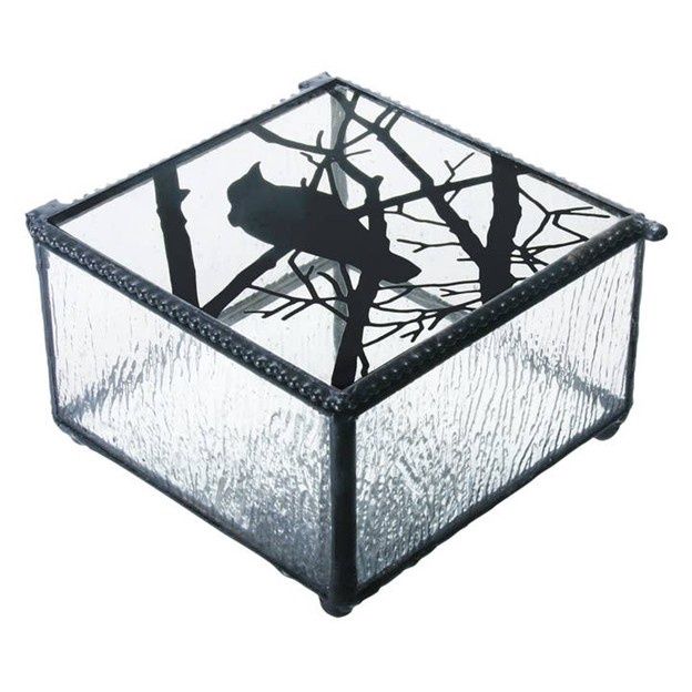 Raven Glass Box
