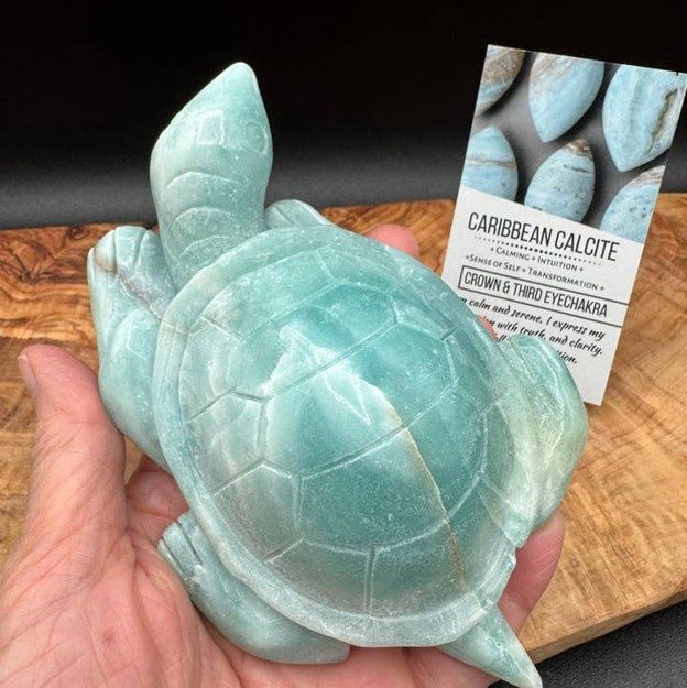 Caribbean Calcite Sea Turtle Carving