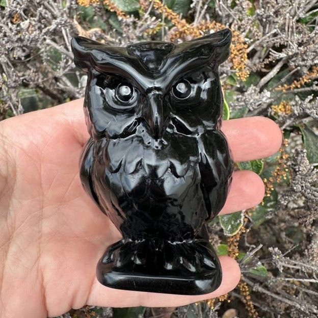 Black Obsidian Owl