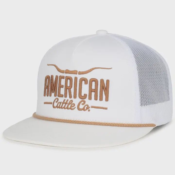 Longhorn Hat
