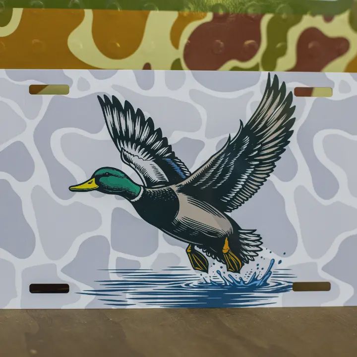 License Plates