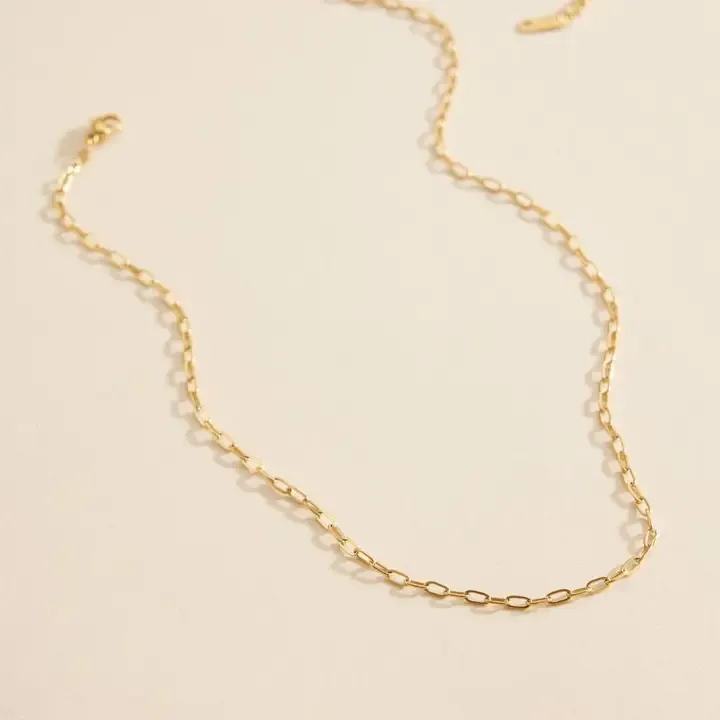Chain Link necklace
