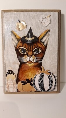 Abyssinian pumpkin cat