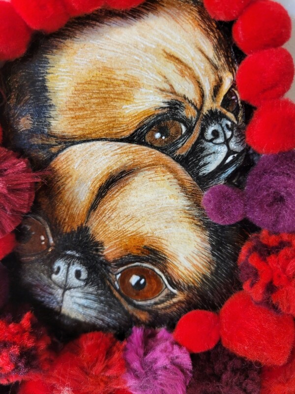 February (Brussels griffons)