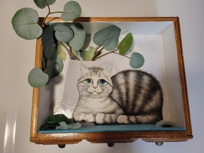 Eucalyptus Cat