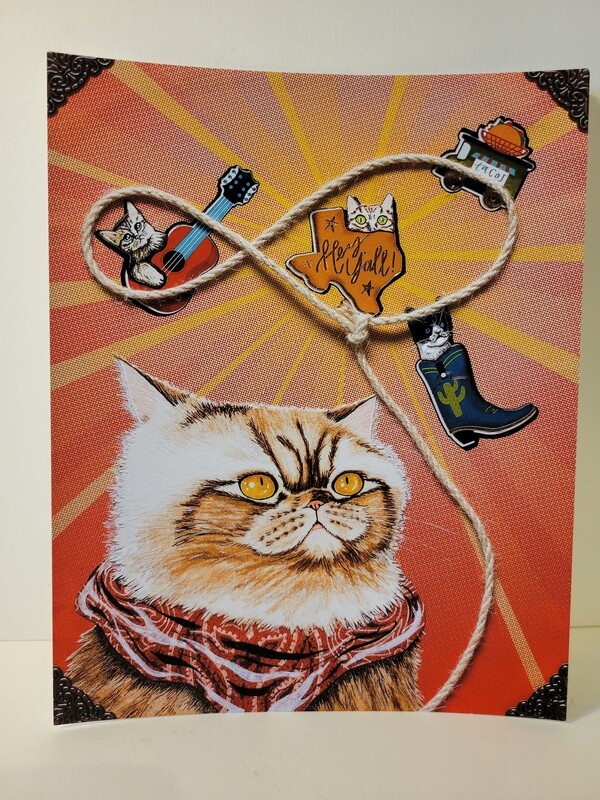 Lasso Kitty