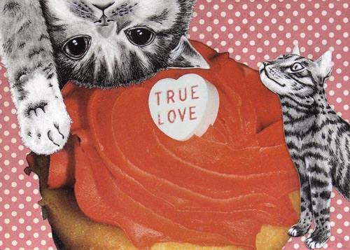 True love cats 5 x 7
