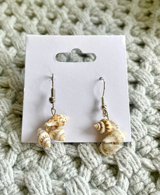 Mini Conch Shell Earrings