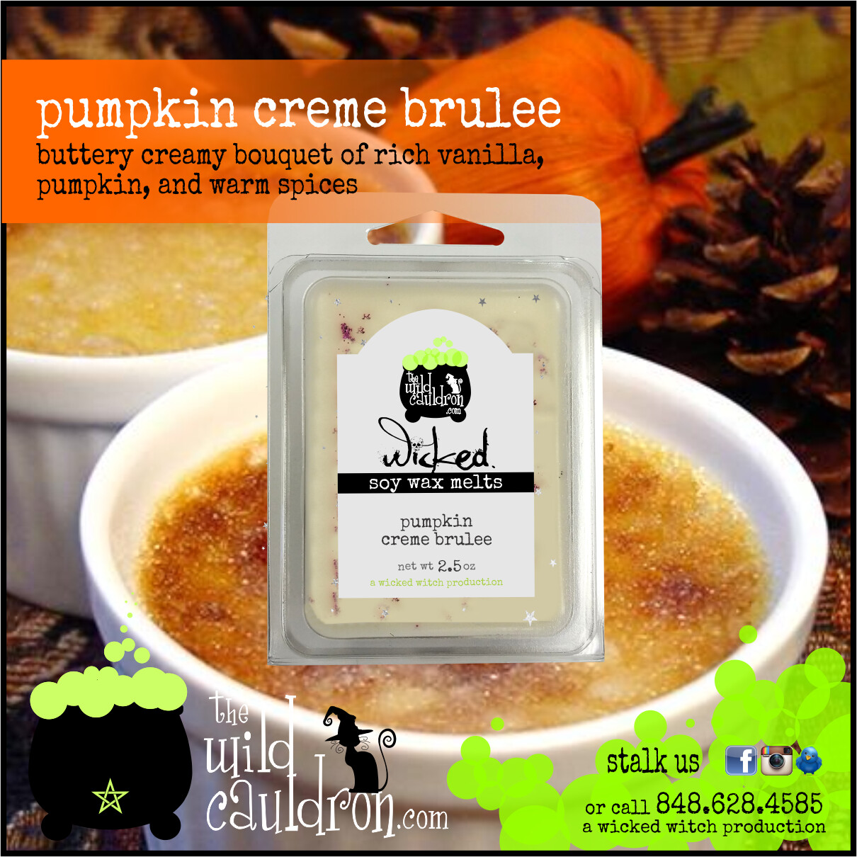 Pumpkin Creme Brulee Pumpkin Creme Brulee