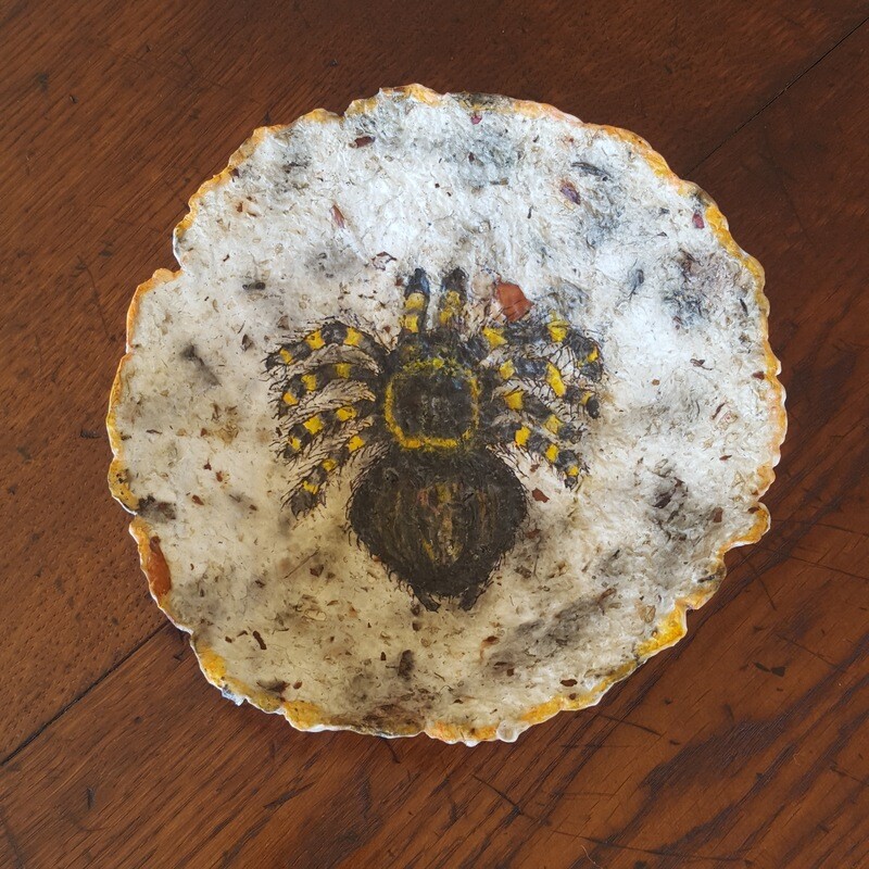 SOLD &quot;Tarantula&quot; Handmade Paper Bowl
