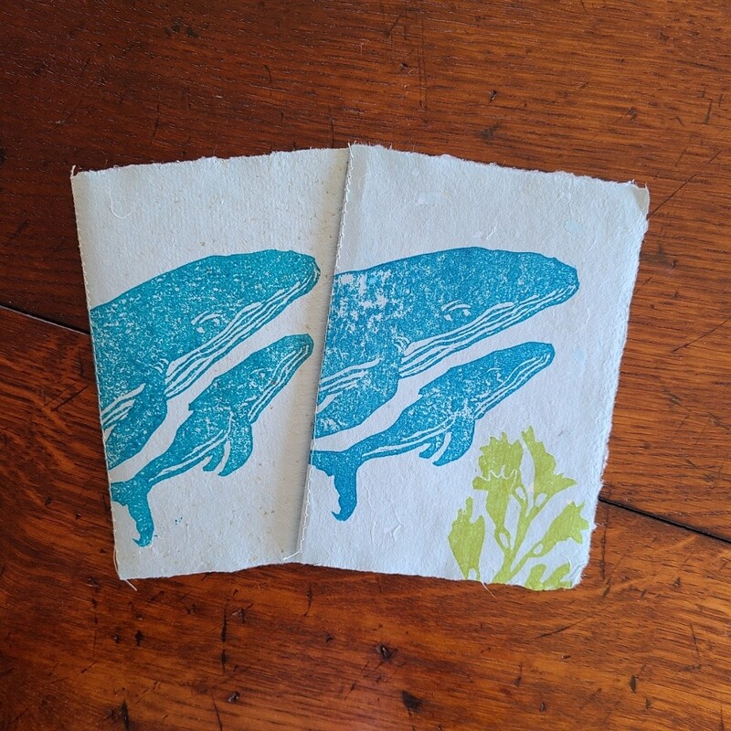 Mama &amp; Calf Humpback Whale