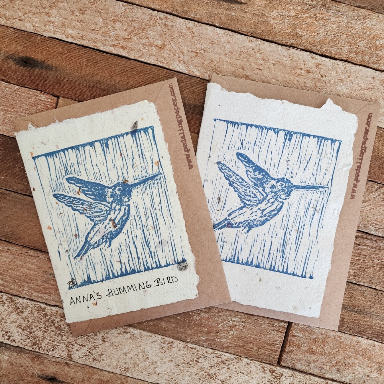 Anna&#39;s Hummingbird Note Card