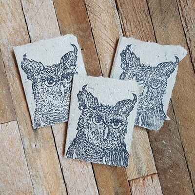 "Whootie" The Great Horned Owl - small card set "Whootie" The Great Horned Owl - small card set