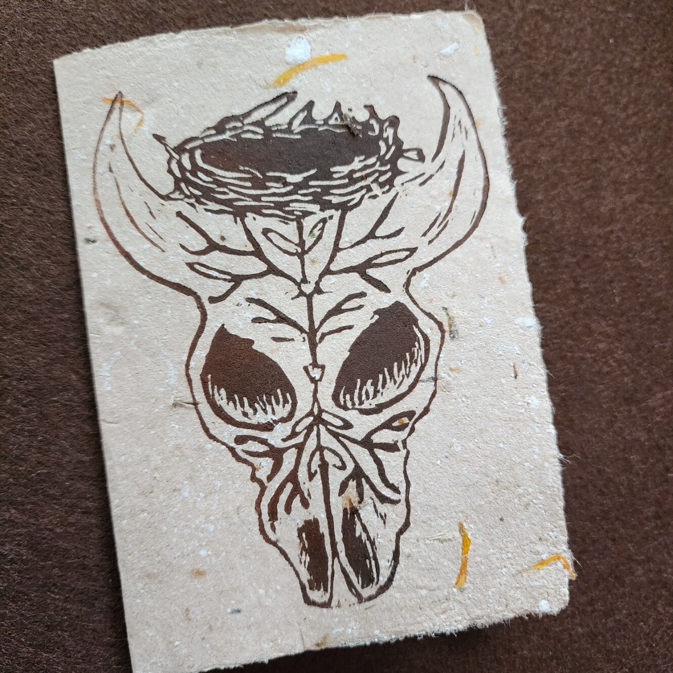 &quot;Genesis-Terminus&quot;