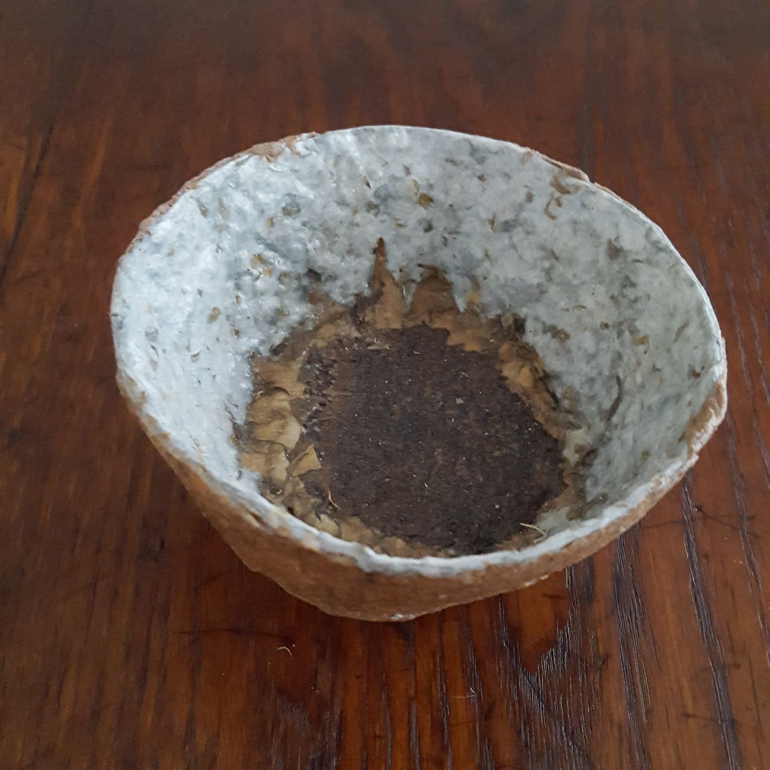 &quot;Wooden&#39; Be a Sunflower?&quot; Paper Pulp Bowl