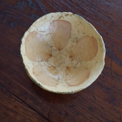 &quot;Bottoms Up!&quot;  Paper Pulp Bowl