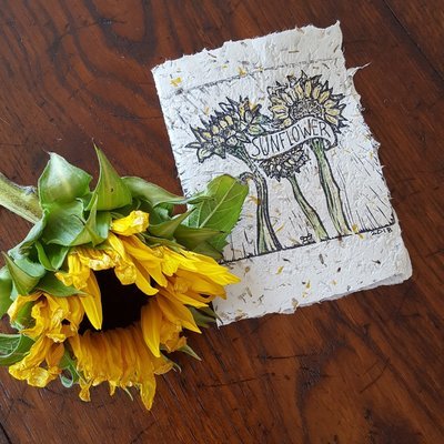 &quot;Turns Toward The Sun&quot;  Sunflower Note Card