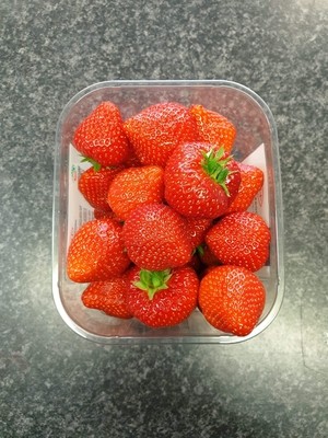 Belgium Strawberries