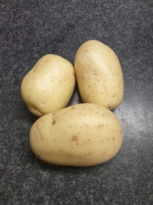3 Large Baking Potatoes