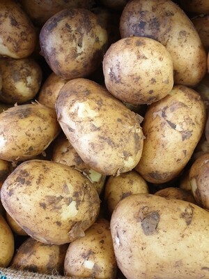 1kg Cyprus Potatoes