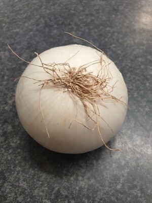 White Onion 400g