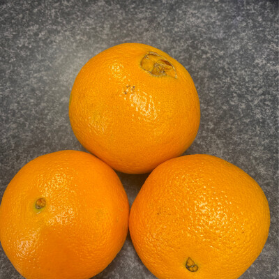 Large Oranges x 3