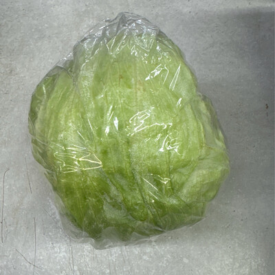 Iceberg Lettuce - Large
