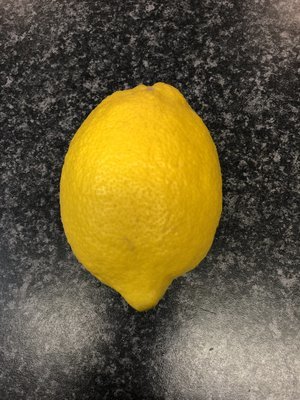Large Lemons 