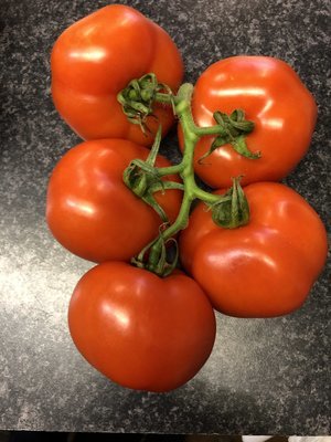 Vine Tomatoes 450g