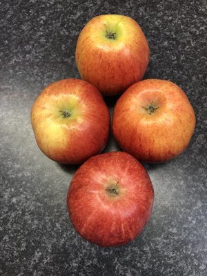 Large Gala Apples x 4