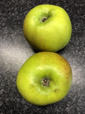 Large Cooking Apples - Bramley x2