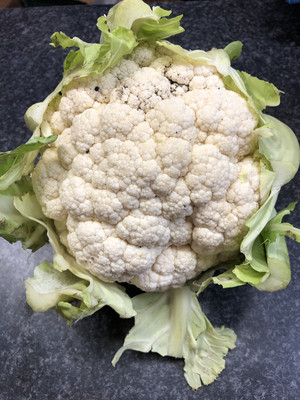 Cauliflower Large